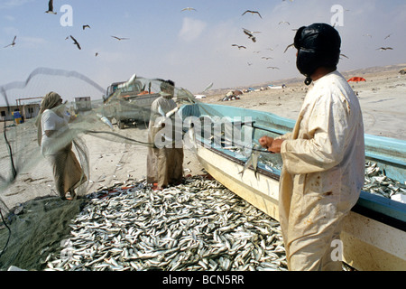 Oman al Khaluf Fischer Stockfoto