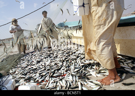 Oman al Khaluf Fischer Stockfoto