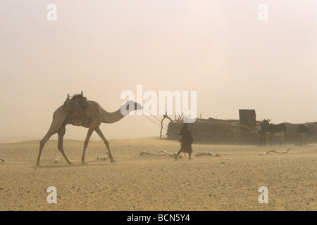 Sudan-Nubien-Alltag in die Bayuda-Wüste Stockfoto