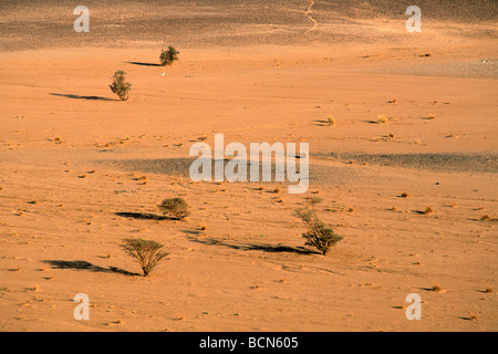 Sudan-Nubien Bayuda Wüste Stockfoto