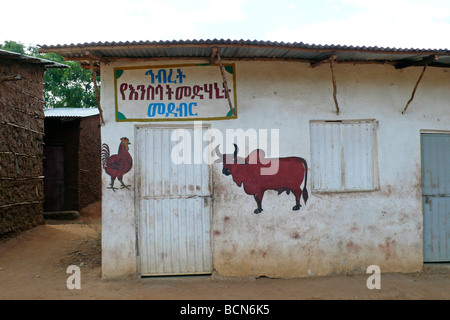 Äthiopien-Omo Tal Turmi Hamer Stamm Stockfoto