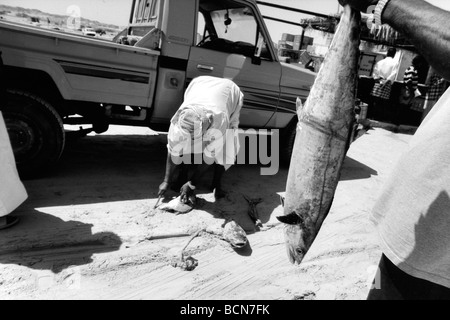 Oman-al-khaluf Stockfoto