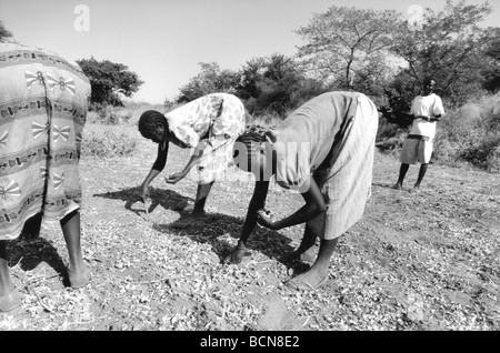 Sudan Nuba Berge Süd-kordofan Stockfoto