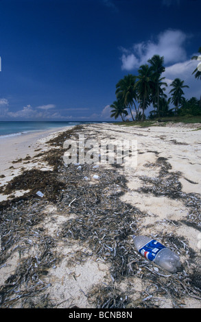 Algen und Kunststoff Schund am Sandstrand. Nationalpark Del Este. Saona Insel Strand, Dominikanische Republik, Caribbean Stockfoto