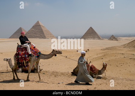 Pyramiden Pyramiden Gizeh Cheops Ägypten Cairo Camel Stockfoto