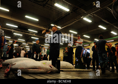 Händler-Auktion über Reihen von gefrorenen Thunfisch Tsukiji weltweit größten Fischmarkt Zentrum von Tokio Japan Stockfoto