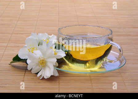 Jasmintee Jasmin Tee 01 Stockfoto