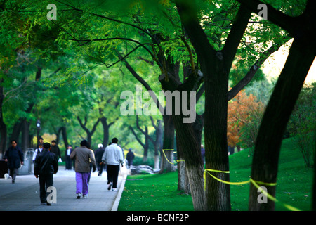 Touristen zu Fuß den Baum gesäumten Pfad, Beihai-Park, Peking, China Stockfoto
