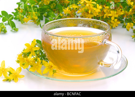 T-Stück Johanniskraut Tee St Johns Würze 07 Stockfoto