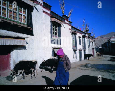 Tibetischen Dorf in Tingri County, Shigatse Präfektur, Tibet autonome Region, China Stockfoto