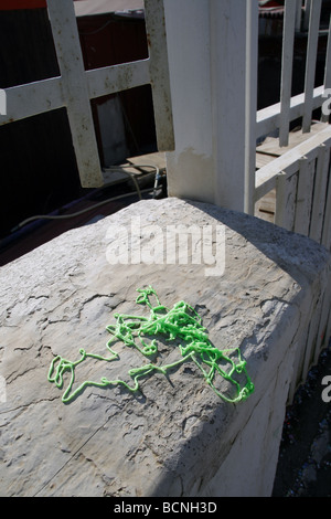 Grüne Partei-Streamer-Spray-Schaum an Wand in der Sonne im freien Stockfoto