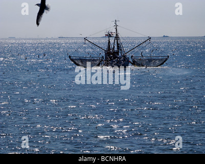 Garnelen fischen Trawler in der Nordsee vor der Nordfriesischen Inseln Deutschland tätig Stockfoto