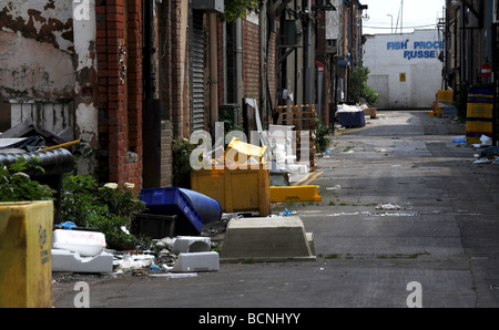 Grimsby dockt einst blühende, aber jetzt fast menschenleer, da die Fischerei-Industrie weiterhin in Verfall geraten Stockfoto