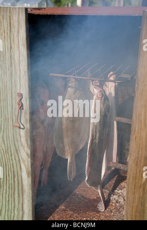 Geräucherte Plattfische Steinbutt und Meer Barsch im Hause gemacht Ofen ausräuchern Stockfoto