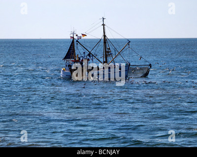 Garnelen fischen Trawler in der Nordsee vor der Nordfriesischen Inseln Deutschland tätig Stockfoto