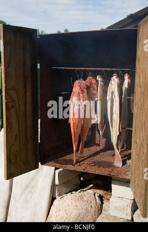 Geräucherte Plattfische Steinbutt und Meer Barsch im Hause gemacht Ofen ausräuchern Stockfoto