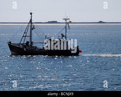 Garnelen fischen Trawler in der Nordsee vor der kleinen nordfriesischen Hallig Inseln Deutschland tätig Stockfoto