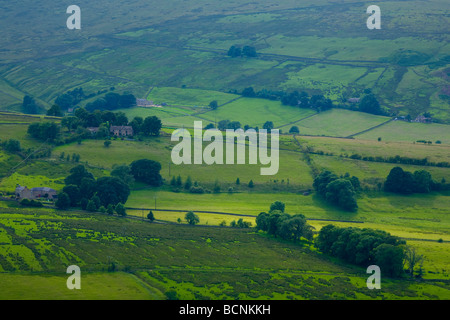 England Northumberland West Allen Dale West Allen Dale Teil der North Pennines Bereich der hervorragenden natürlichen Schönheit AONB Stockfoto