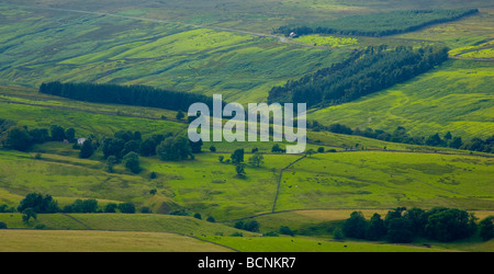 England Northumberland West Allen Dale West Allen Dale Teil der North Pennines Bereich der hervorragenden natürlichen Schönheit AONB Stockfoto