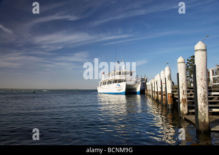 Delfin- und Walbeobachtung Boot Huskisson Jervis Bay, New South Wales Australien Stockfoto