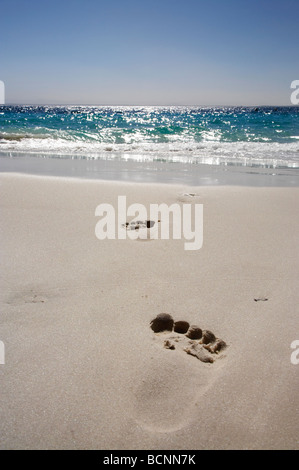 Fußspuren im Sand Murrays Beach Booderee National Park Jervis Bay Territory Australien Stockfoto