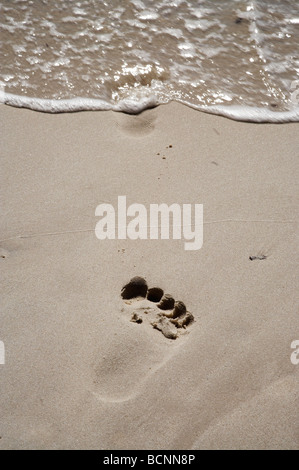 Fußspuren im Sand Murrays Beach Booderee National Park Jervis Bay Territory Australien Stockfoto