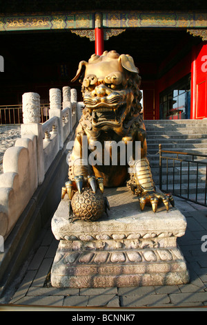 Gold vergoldete Bronze Löwe vor Tor der Himmlischen Reinheit, Verbotene Stadt, Peking, China Stockfoto