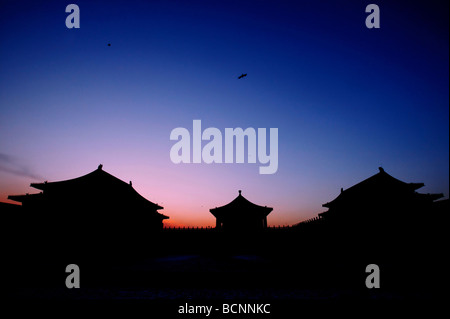 Silhouette der drei Haupthallen in die äußeren Gericht verbotene Stadt bei Sonnenaufgang, Verbotene Stadt, Peking, China Stockfoto