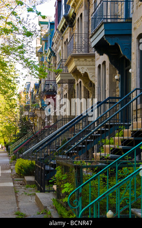 Häuserzeile mit typischen Treppen in Plateau Mont-Royal Montreal Quebec Kanada Stockfoto