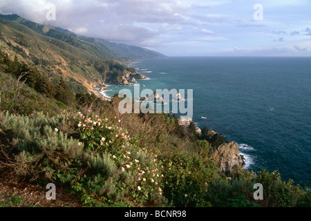 Pazifikküste an Big Sur California Stockfoto
