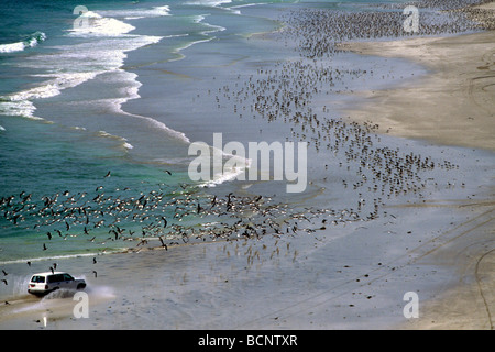 Oman al Khaluf Bucht Stockfoto