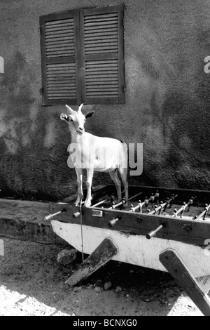 Senegal-Kind auf den Straßen von St. Louis Stockfoto