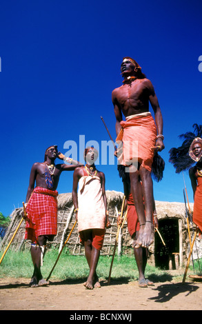 Maasai Krieger Masai Mara Kenia Stockfoto