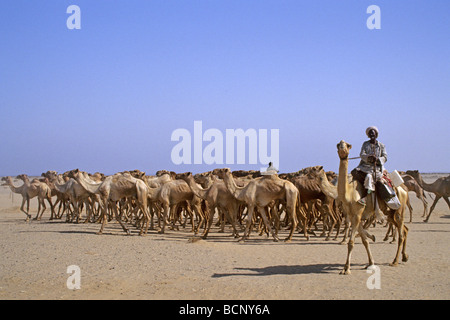 Nubia Sudan Bayuda Wüste Stockfoto