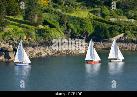 Troy Klasse Segelboote in den Fluss Fowey Mündung Kopf aufs Meer vorbei an Polruan. Stockfoto