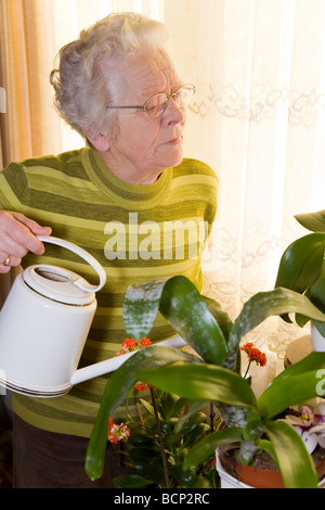 Frau in Ihren Siebzigern Steht Im Wohnzimmer Und Gießt Ihre Pflanzen Stockfoto