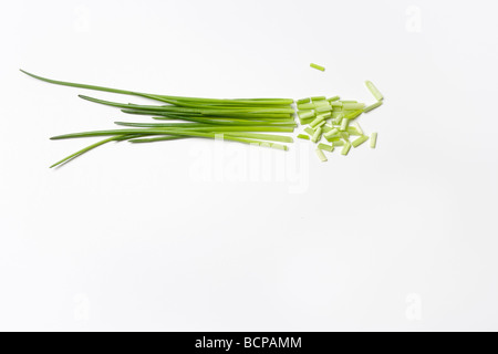 Schnittlauch mit geschnittenen Stücke auf weißem Hintergrund Stockfoto