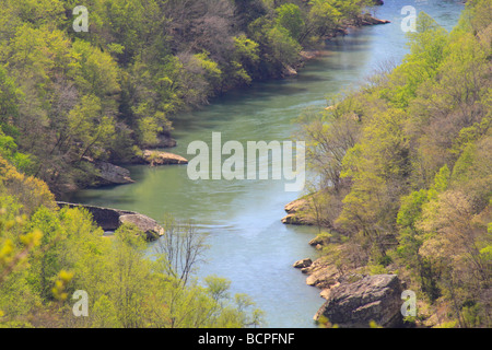 Bear Creek übersehen Cumberland River Big South Fork National River und Recreation Area Kentucky Stockfoto