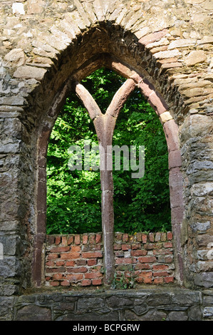 Stein Fenster in Tintern Abbey, County Wexford Stockfoto