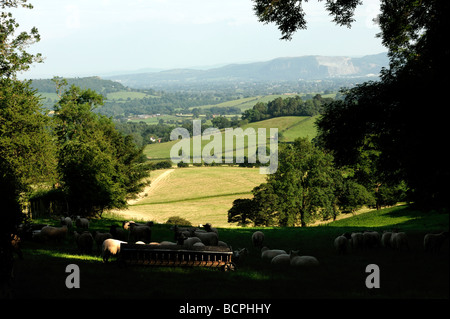 Blick vom in der Nähe von Nantmawr in Richtung Llanymynech Hill Shropshire Grenzen Stockfoto