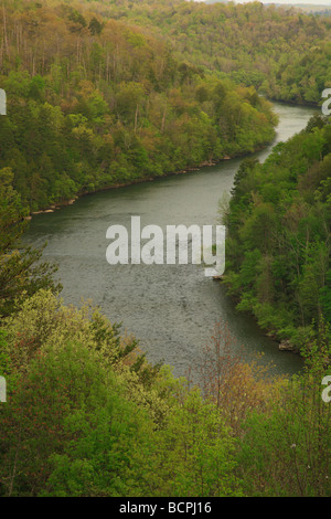 Blick auf Cumberland River Schlucht von Terrasse des Dupont Lodge in Cumberland Falls State Resort Park Corbin Kentucky Stockfoto