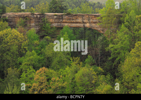 Ansicht der Natural Bridge vom Lookout Point Natural Bridge State Resort Park Slade Kentucky Stockfoto