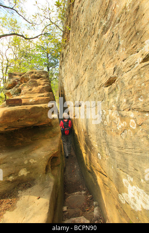 Wanderer drückt durch schmalen Pfad entlang zum Seitenanfang die natürliche Brücke Natural Bridge State Resort Park Slade Kentucky Stockfoto