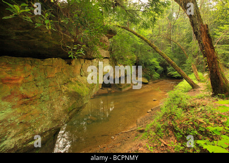 Steinbrücke Red River Gorge geologischen Bereich Slade Kentucky Stockfoto