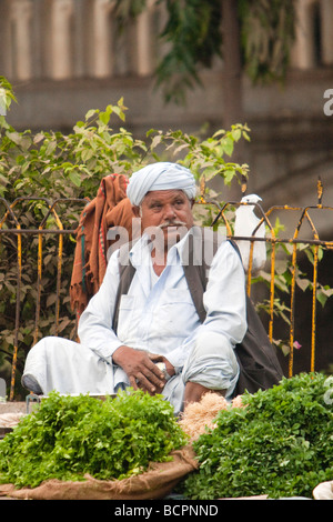 Indischer Mann Turban verkauft Gemüse Markt Bhavnagar Gujarat Indien Stockfoto