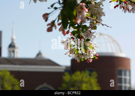 Das Henry Ford Museum Greenfield Village Dearborn Michigan in den USA USA USA Vereinigte Staaten von Amerika niemand verschwommener Hintergrund Hi-res Stockfoto