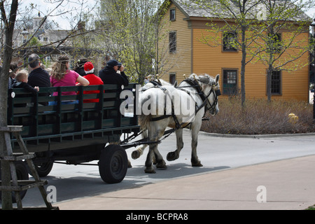 Zwei der weißen Zugpferde ziehen mit Touristen einen historischen Wagen im Greenfield Village in Michigan MI USA Stockfoto