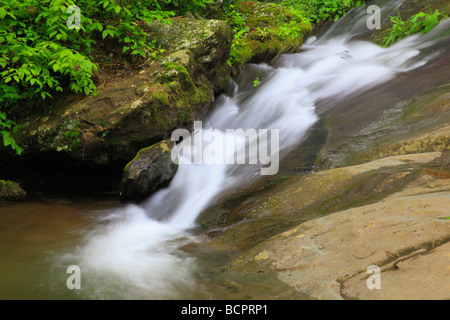 Dark Hollow fällt Shenandoah-Nationalpark Virginia Stockfoto