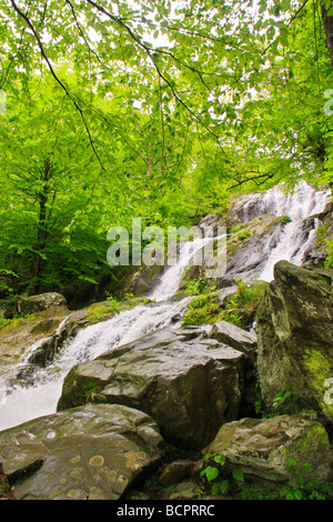 Dark Hollow fällt Shenandoah-Nationalpark Virginia Stockfoto