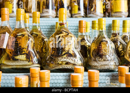 Weinflaschen Schlange auf dem Display in Vietnam Stockfoto